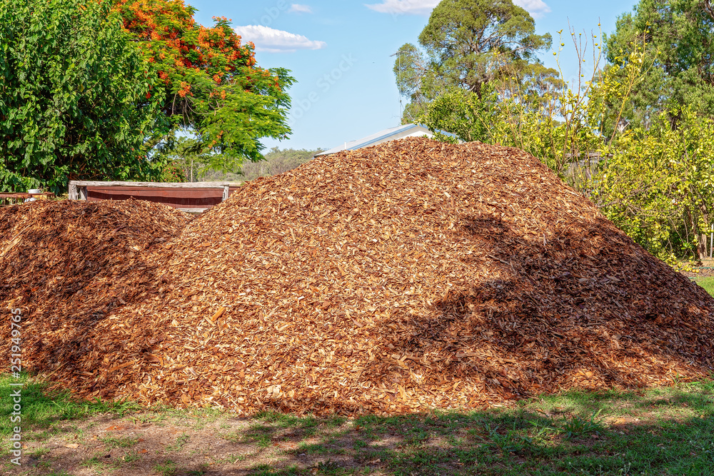 Wood pile